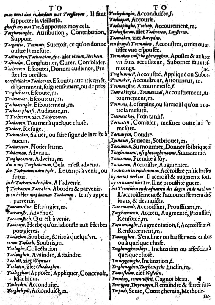 An illustration from Dictionnaire, ou, Promptuaire françois-flameng [microforme], 1602, leaf 988
