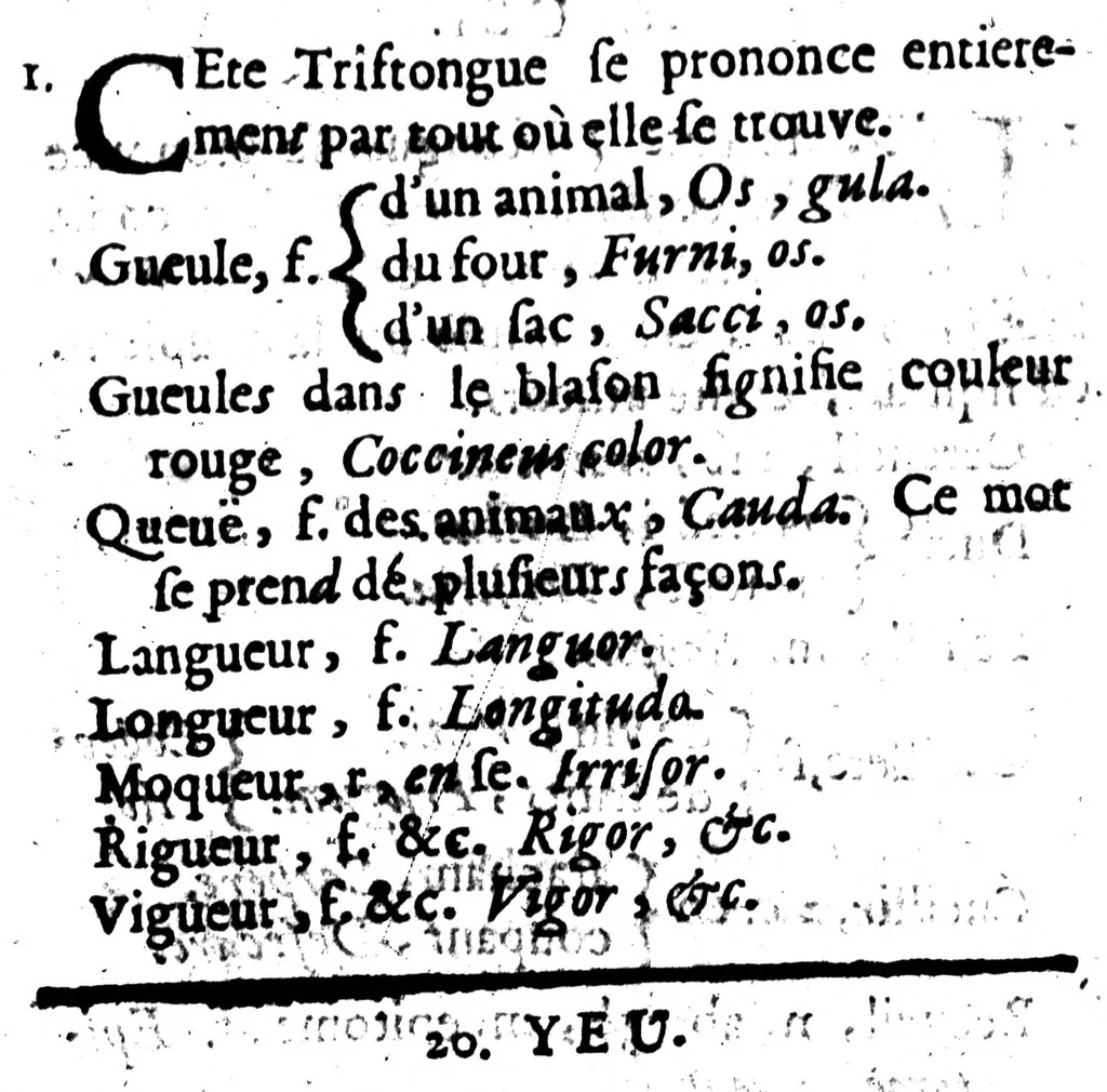 An illustration from Les deux grammaires françaises [microforme], 1694, leaf 194