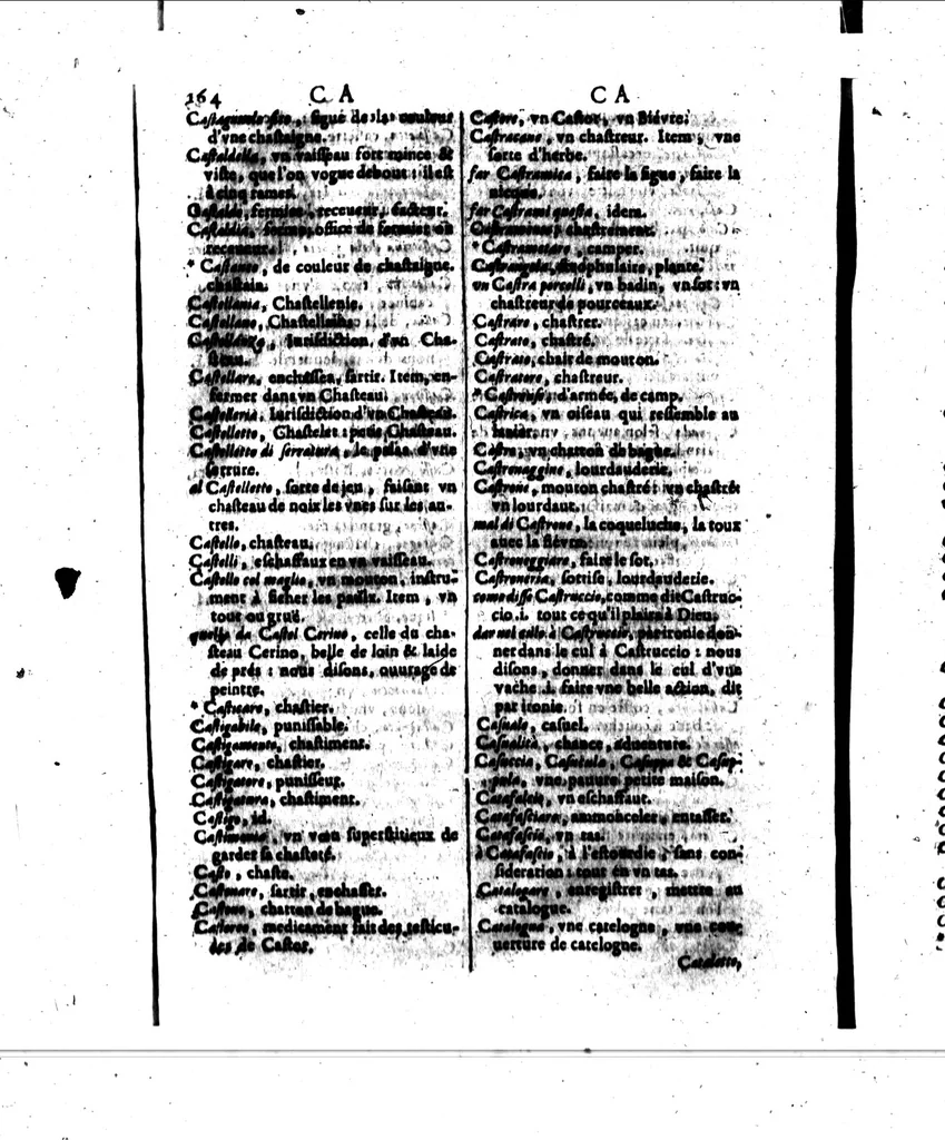 An illustration from Recherches italiennes et françoise, ou, Dictionnaire, contenant outre les mots ordinaire, une quantité de proverbes & de phrases, pour l'intelligence de l'une & l'autre langue [microforme] : avec un abrégé de grammaire italienne, 1640, leaf 192