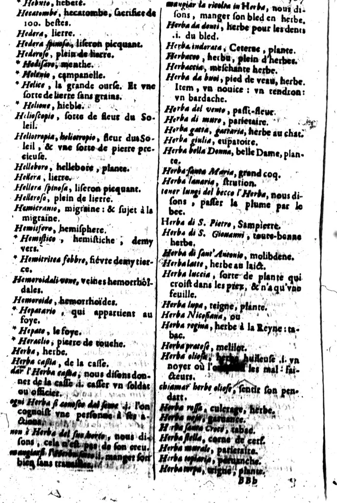 An illustration from Recherches italiennes et françoise, ou, Dictionnaire, contenant outre les mots ordinaire, une quantité de proverbes & de phrases, pour l'intelligence de l'une & l'autre langue [microforme] : avec un abrégé de grammaire italienne, 1640, leaf 385