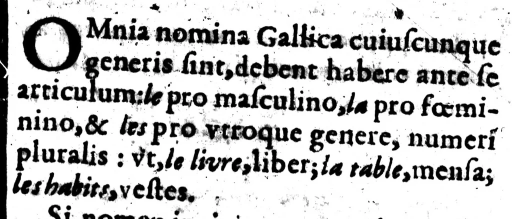 An illustration from Le triomphe de la langue françoise, dans lequel les principales difficultés qui s'y rencontrent sont revnersées [microform], 1664, leaf 407