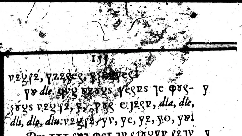 An illustration from La declaration des abus que l'on commet en escrivant [microforme], 1578, leaf 155