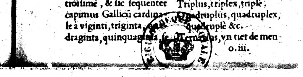An illustration from In linguam gallicam Isagôge, una cum eiusdem Grammatica latino-gallica ex hebraeis, graecis, & latinis authoribus [microform], 1531, leaf 113