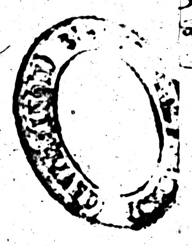 An illustration from Synonymes. C'est à dire plusieurs propos, porpres tant en escrivant qu'en parlant, tirez quasi tous à un mesme sens pour monstrer la richesse de la langue françoise [microforme], 1569, leaf 321