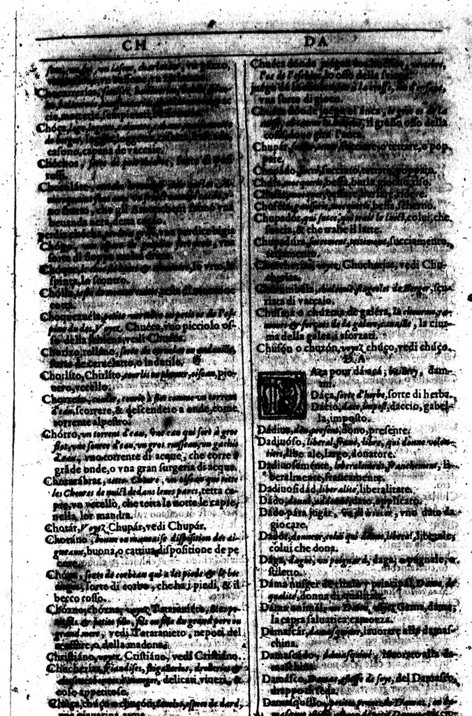 An illustration from Tesoro de las tres lenguas, francesa, italiana y española [microforme] = Thresor des trois langues, francoise, italiene, espagnolle : auquel est continue l'explication de toutes les trois respectivement l'une par l'autre : divisé en deux parties ..., 1609, leaf 196