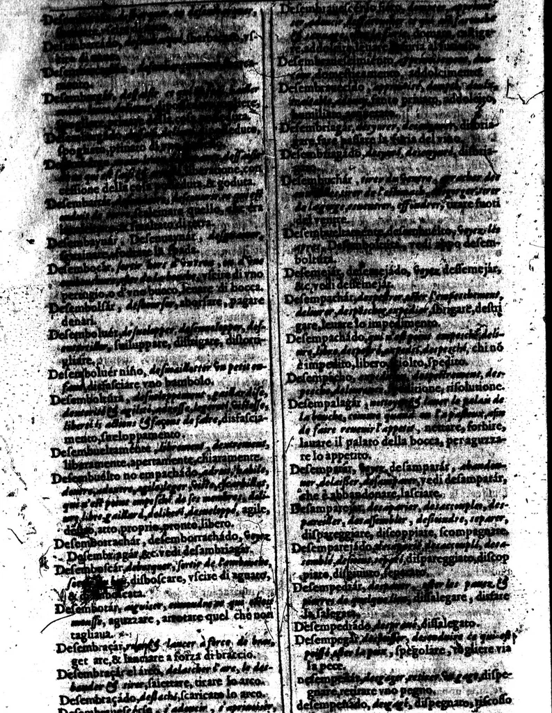 An illustration from Tesoro de las tres lenguas, francesa, italiana y española [microforme] = Thresor des trois langues, francoise, italiene, espagnolle : auquel est continue l'explication de toutes les trois respectivement l'une par l'autre : divisé en deux parties ..., 1609, leaf 218