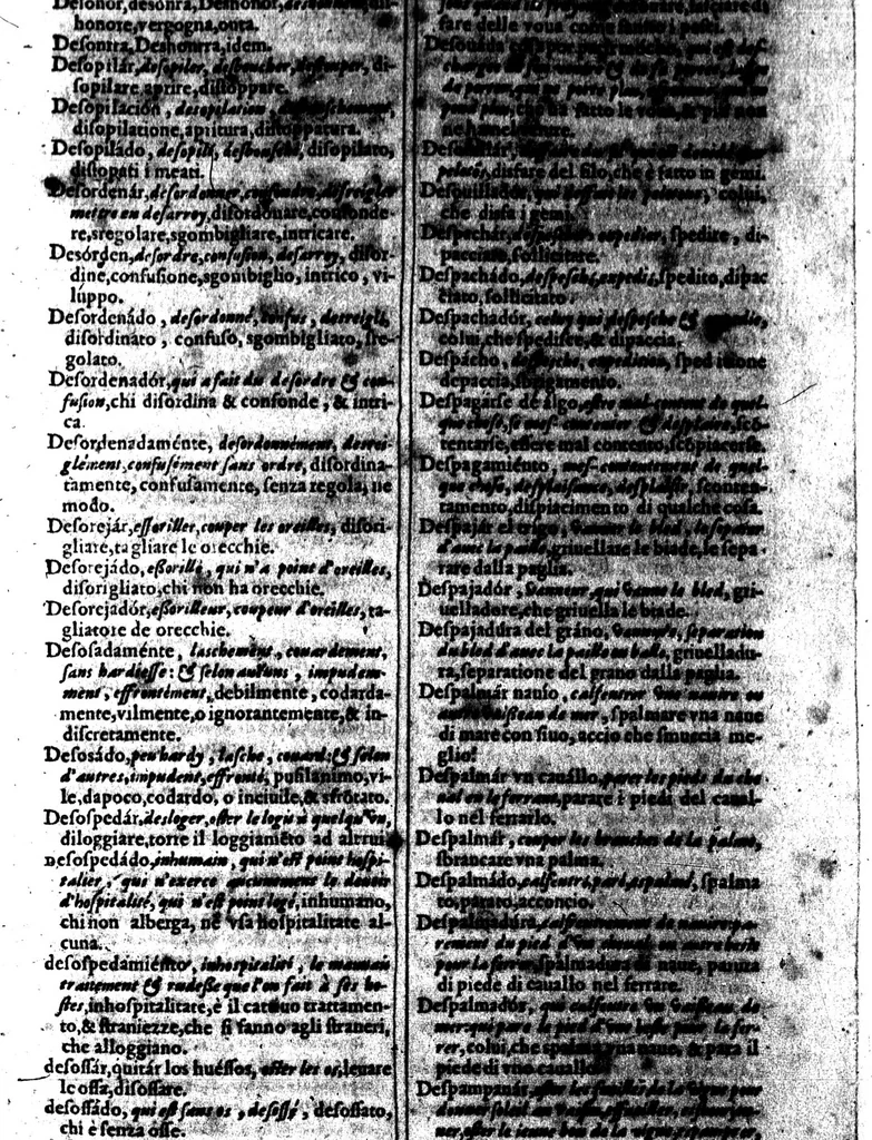 An illustration from Tesoro de las tres lenguas, francesa, italiana y española [microforme] = Thresor des trois langues, francoise, italiene, espagnolle : auquel est continue l'explication de toutes les trois respectivement l'une par l'autre : divisé en deux parties ..., 1609, leaf 229