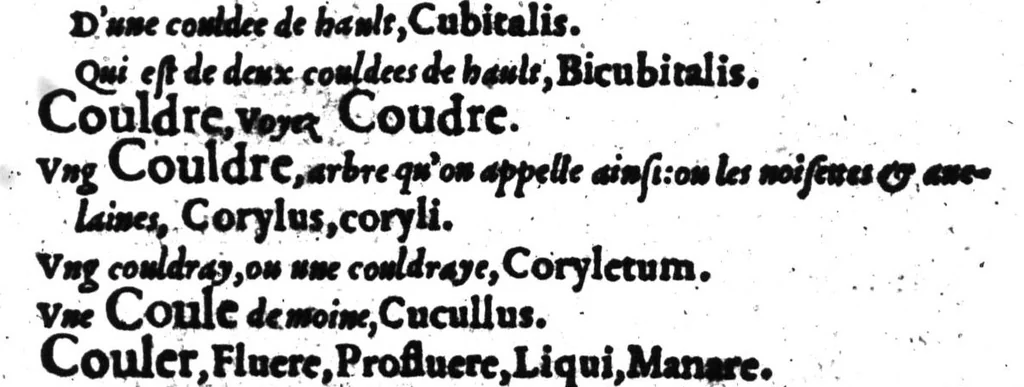 An illustration from Dictionnaire francois-latin, autrement dict, Les mots francois avec les manieres duser dideux, tournez en latin [microforme], 1549, leaf 140