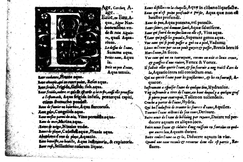 An illustration from Dictionnaire francois-latin, autrement dict, Les mots francois avec les manieres duser dideux, tournez en latin [microforme], 1549, leaf 204
