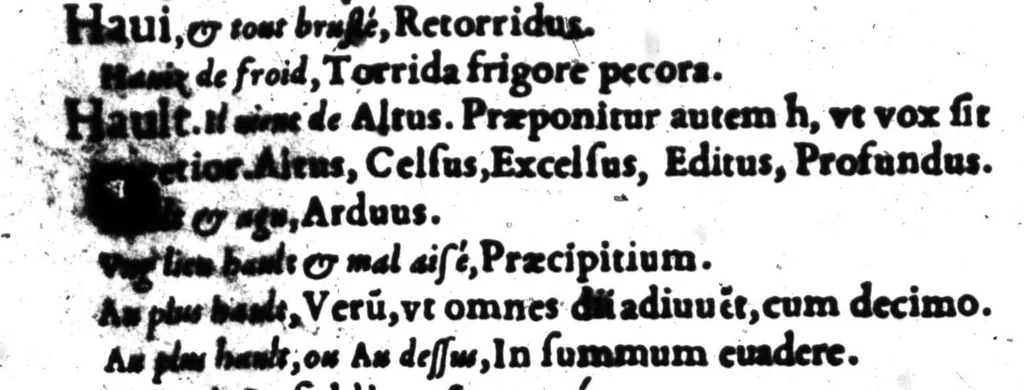 An illustration from Dictionnaire francois-latin, autrement dict, Les mots francois avec les manieres duser dideux, tournez en latin [microforme], 1549, leaf 308