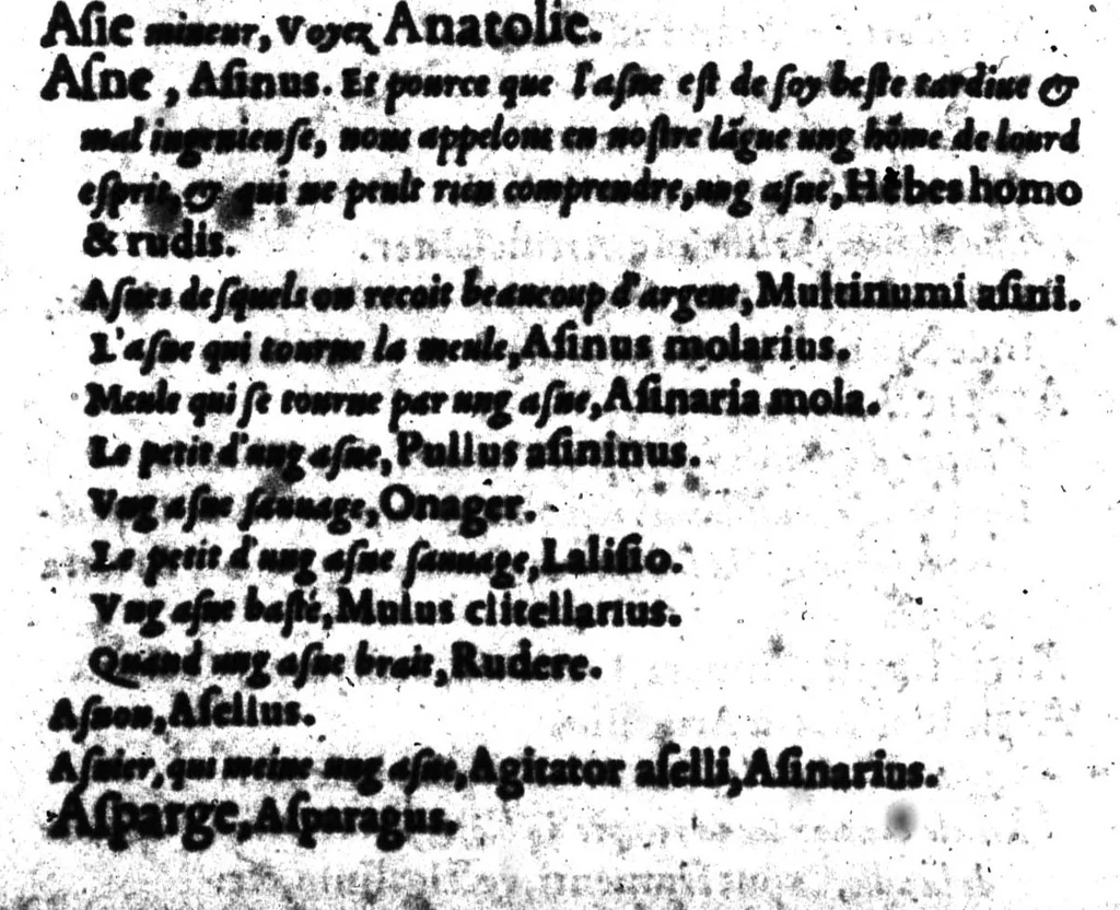 An illustration from Dictionnaire francois-latin, autrement dict, Les mots francois avec les manieres duser dideux, tournez en latin [microforme], 1549, leaf 48