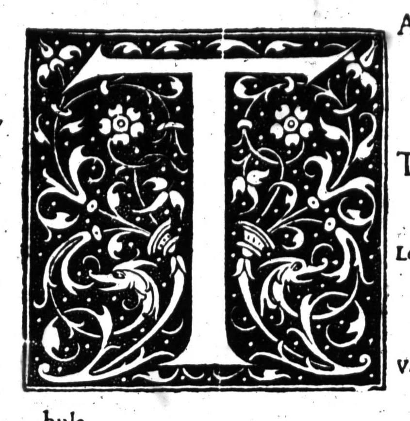 An illustration from Dictionnaire francois-latin, autrement dict, Les mots francois avec les manieres duser dideux, tournez en latin [microforme], 1549, leaf 599