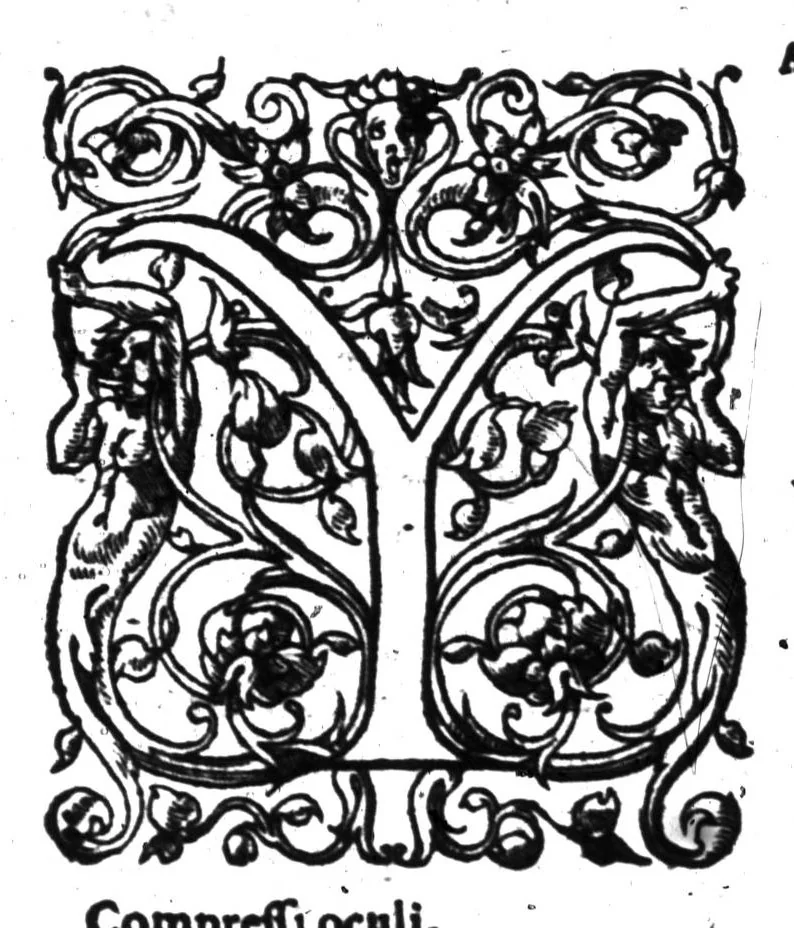 An illustration from Dictionnaire francois-latin, autrement dict, Les mots francois avec les manieres duser dideux, tournez en latin [microforme], 1549, leaf 662