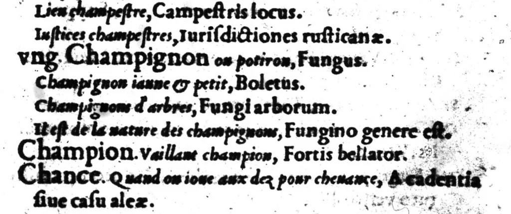 An illustration from Dictionnaire francois-latin, autrement dict, Les mots francois avec les manieres duser dideux, tournez en latin [microforme], 1549, leaf 97