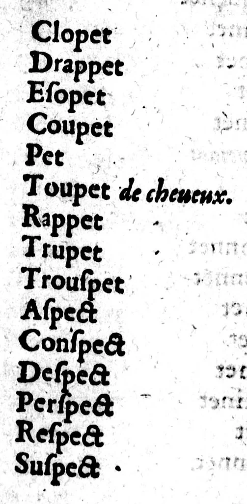 An illustration from Dictionnaire des rimes françoises [microforme], 1587, leaf 430