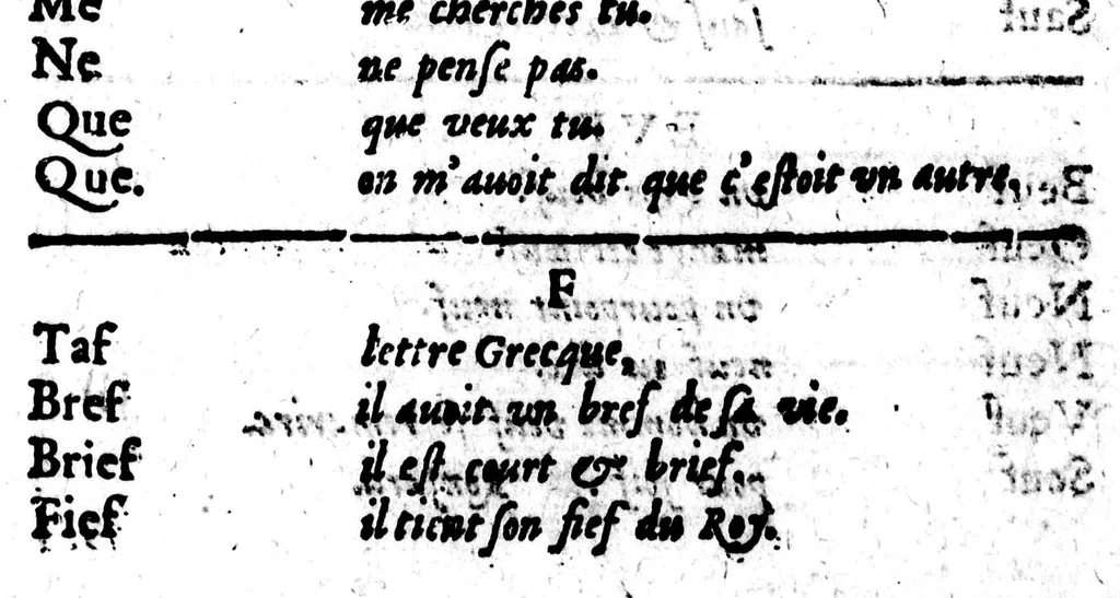 An illustration from Dictionnaire des rimes françoises [microforme], 1587, leaf 507