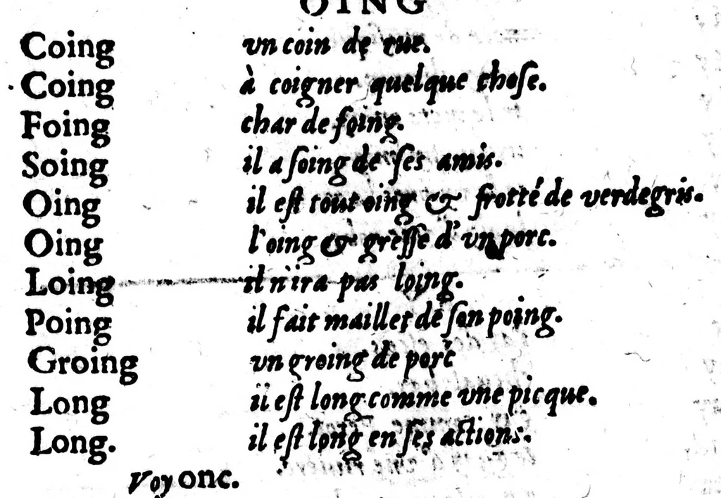 An illustration from Dictionnaire des rimes françoises [microforme], 1587, leaf 509