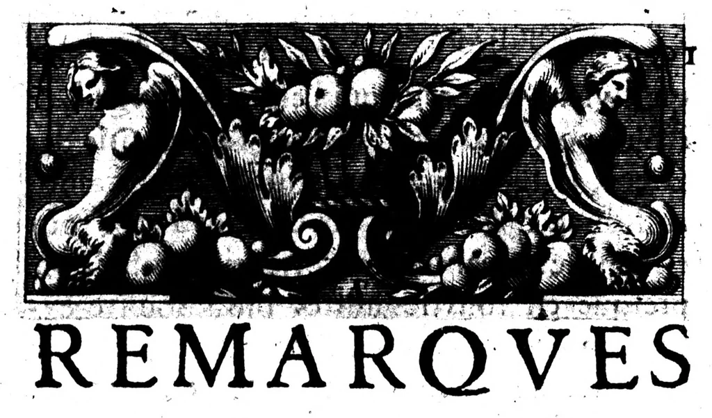 An illustration from Remarques sur la langue françoise utile à ceux qui veulent bien parler et bien éscrire [microforme], 1647, leaf 61