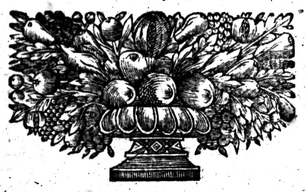 An illustration from La bibliothèque françoise de M. C. Sorel [microforme], 1667, leaf 112