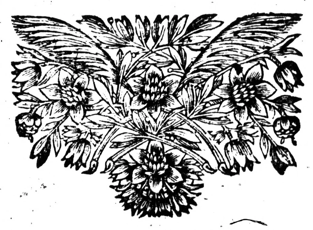 An illustration from La bibliothèque françoise de M. C. Sorel [microforme], 1667, leaf 159