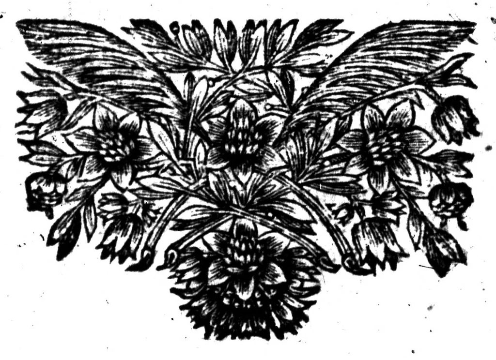 An illustration from La bibliothèque françoise de M. C. Sorel [microforme], 1667, leaf 216