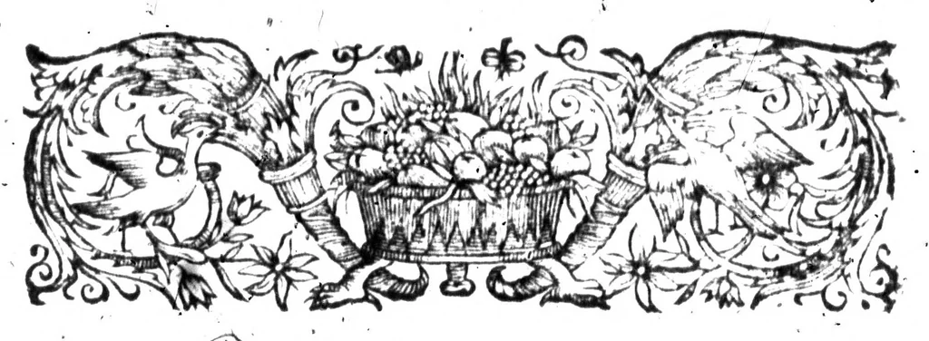 An illustration from La bibliothèque françoise de M. C. Sorel [microforme], 1667, leaf 23