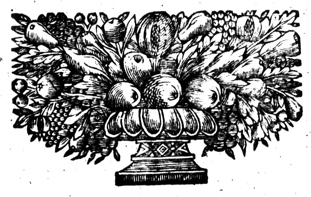 An illustration from La bibliothèque françoise de M. C. Sorel [microforme], 1667, leaf 333