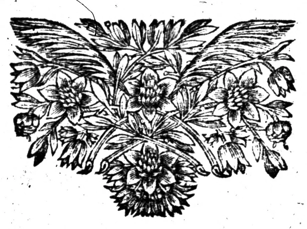 An illustration from La bibliothèque françoise de M. C. Sorel [microforme], 1667, leaf 64