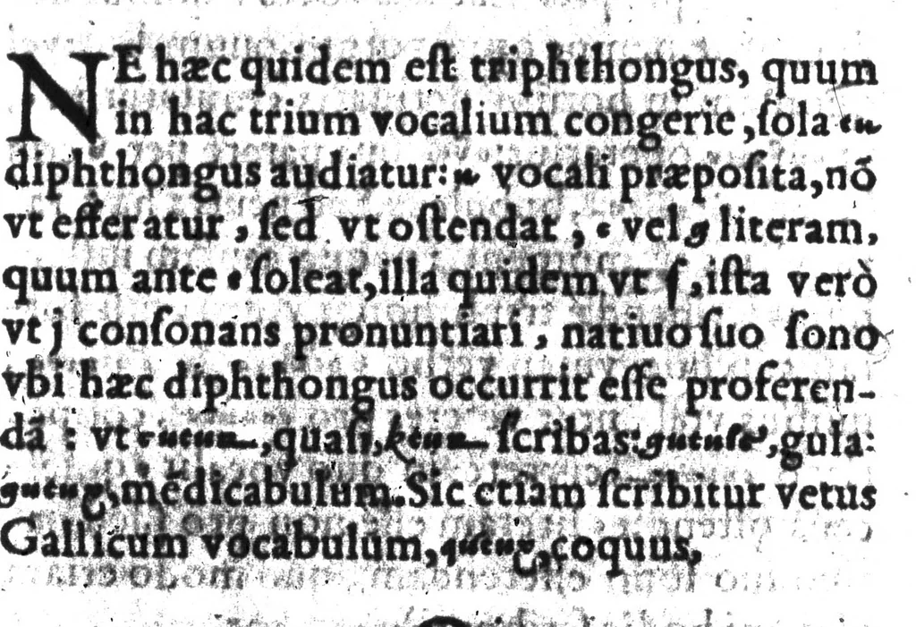 An illustration from De Francicae linguae recta pronuntiatione [microforme], 1584, leaf 53