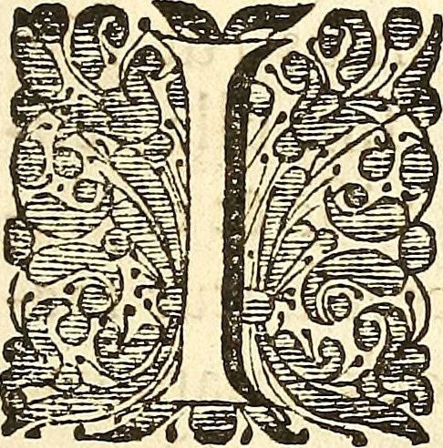 An illustration from Frederici Ruyschii ... Observationum anatomico-chirurgicarum centuria : accedit catalogus rariorum, quae in museo Ruyschiano asservantur ..., 1691, leaf 20