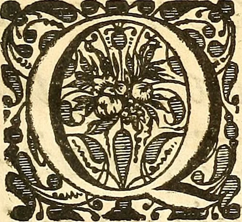 An illustration from Frederici Ruyschii ... Observationum anatomico-chirurgicarum centuria : accedit catalogus rariorum, quae in museo Ruyschiano asservantur ..., 1691, leaf 6