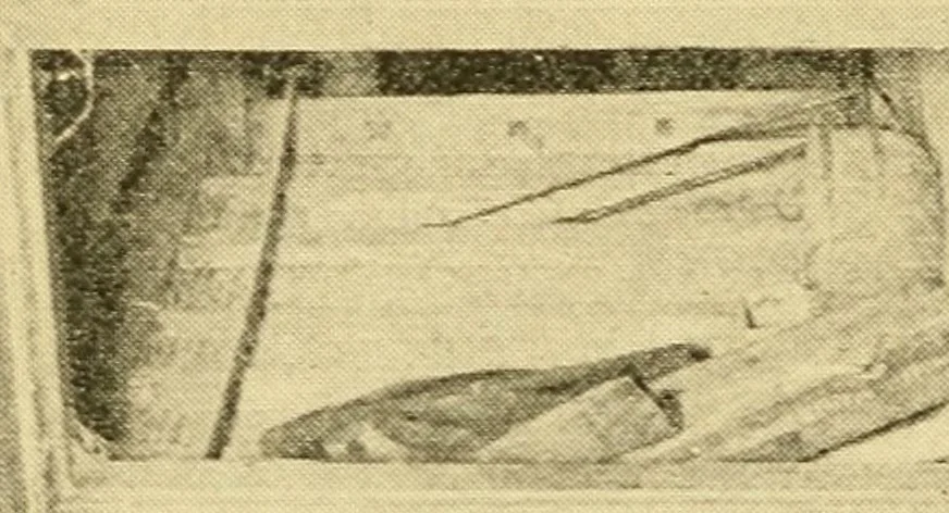 An illustration from Frederick Douglass the orator : Containing an account of his life; his eminent public services; his brilliant career as orator; selections from his speeches and writings, 1893, leaf 352