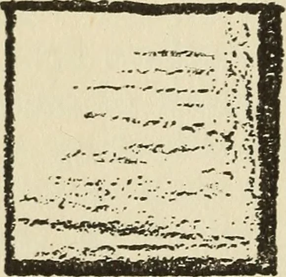 An illustration from Free hand drawing and designing, 1919, leaf 9