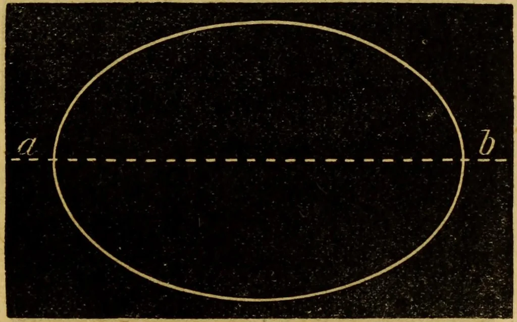 An illustration from Free-hand drawing : a guide to ornamental, figure, and landscape drawing, 1868, leaf 29