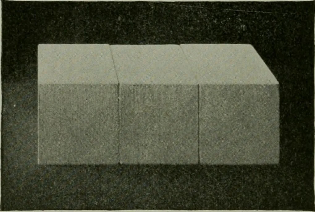 An illustration from Free-hand drawing : a manual for teachers and students, 1904, leaf 119