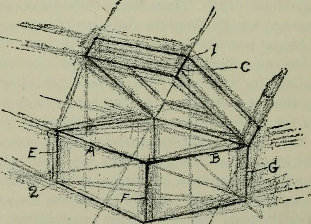 An illustration from Free-hand drawing : a manual for teachers and students, 1904, leaf 19