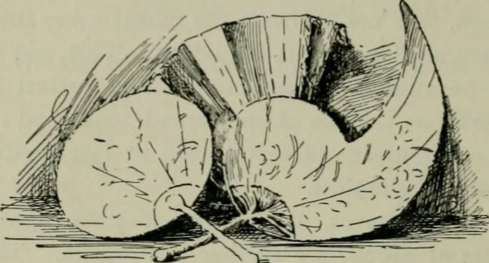 An illustration from Free-hand drawing : a manual for teachers and students, 1904, leaf 21