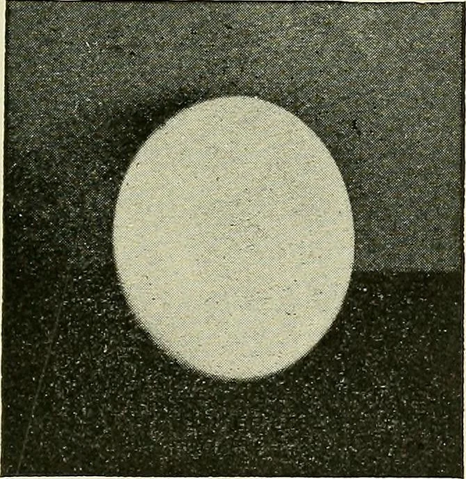 An illustration from Free-hand drawing : a manual for teachers and students, 1898, leaf 101