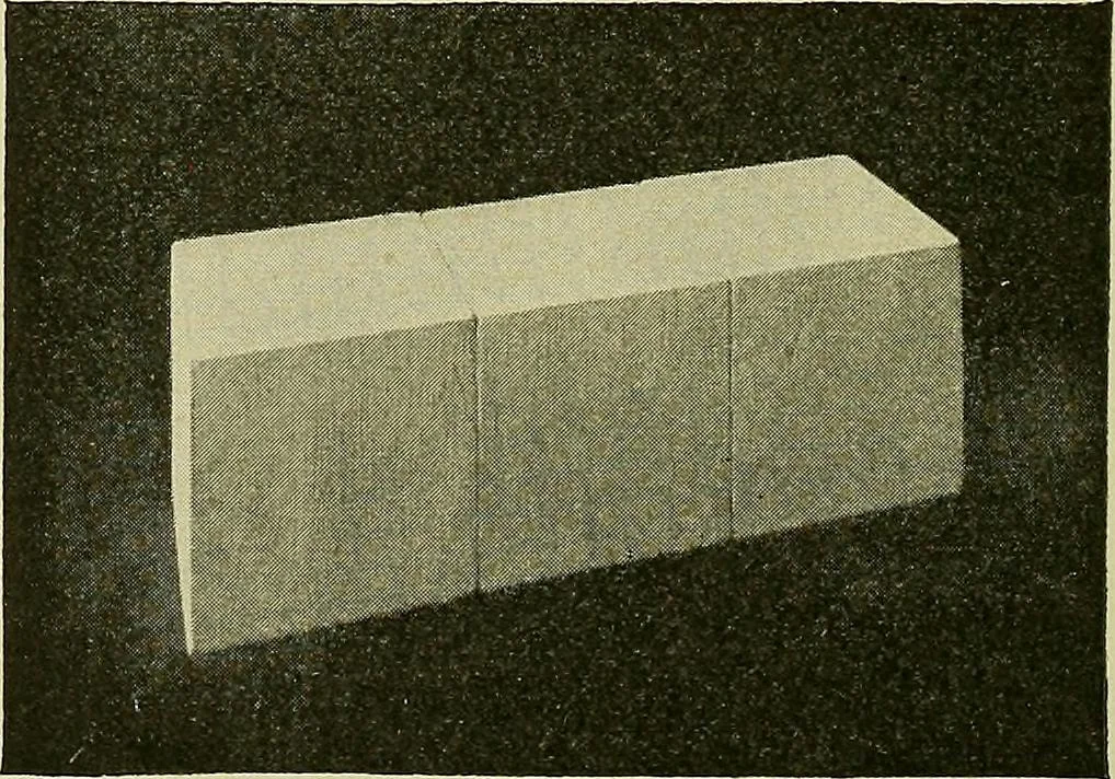 An illustration from Free-hand drawing : a manual for teachers and students, 1898, leaf 120