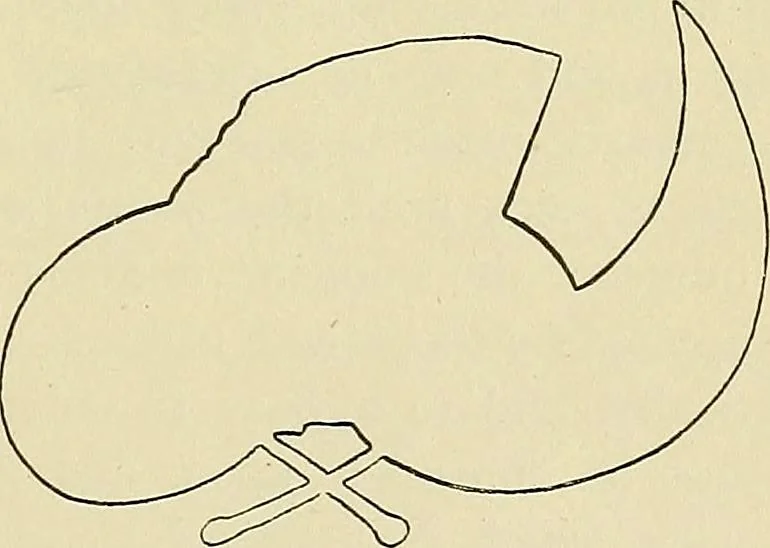 An illustration from Free-hand drawing : a manual for teachers and students, 1898, leaf 19