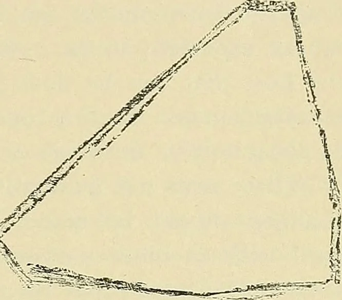 An illustration from Free-hand drawing : a manual for teachers and students, 1898, leaf 25