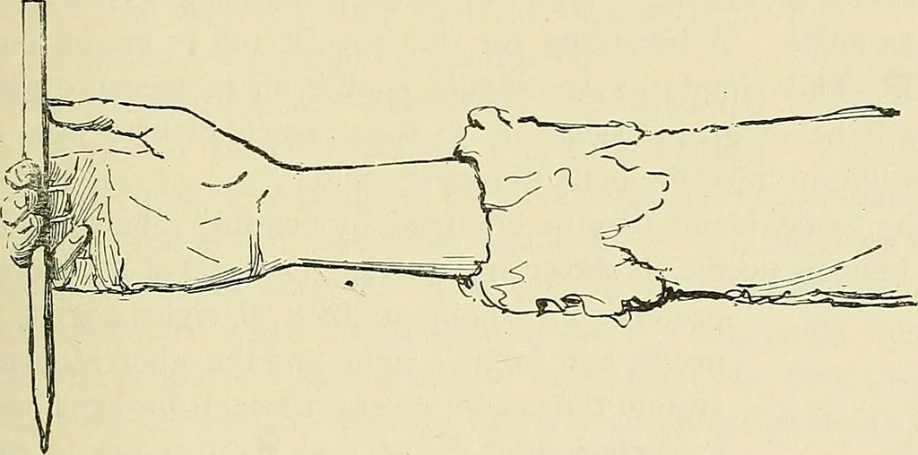 An illustration from Free-hand drawing : a manual for teachers and students, 1898, leaf 61