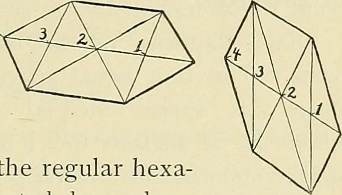 An illustration from Free-hand drawing : a manual for teachers and students, 1898, leaf 83