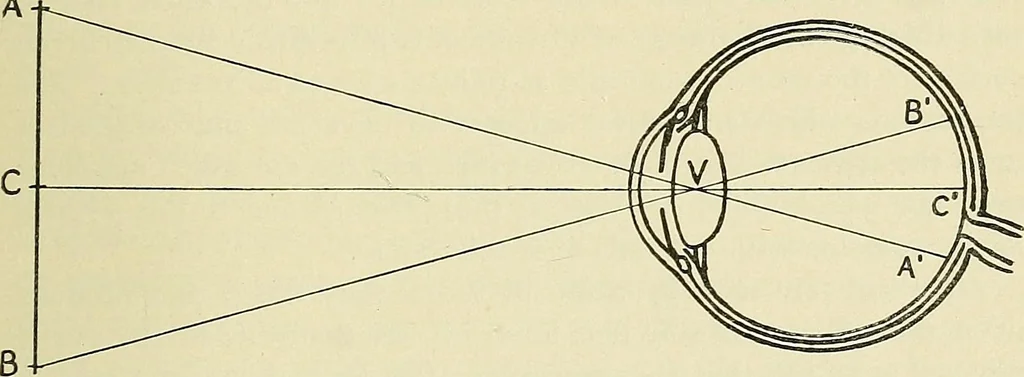 An illustration from Free-hand drawing : a manual for teachers and students, 1898, leaf 97