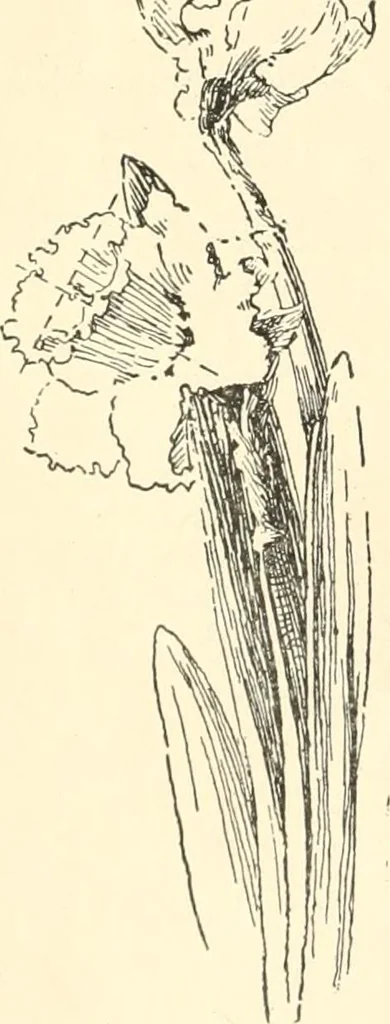 An illustration from Freehand perspective and sketching; principles and methods of expression in the pictorial representation of common objects, interiors, buildings and landscapes, 1916, leaf 113