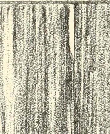 An illustration from Freehand perspective and sketching; principles and methods of expression in the pictorial representation of common objects, interiors, buildings and landscapes, 1916, leaf 145