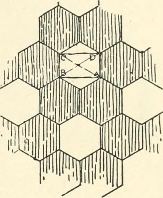 An illustration from Freehand perspective and sketching; principles and methods of expression in the pictorial representation of common objects, interiors, buildings and landscapes, 1916, leaf 146