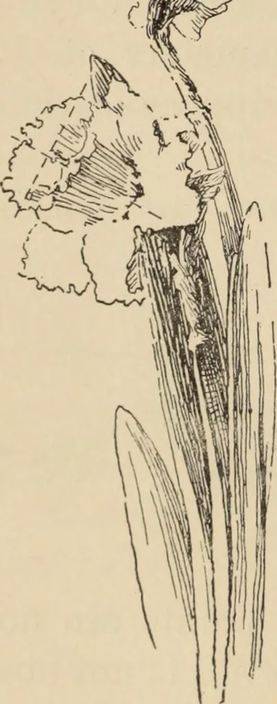 An illustration from Freehand perspective and sketching; principles and methods of expression in the pictorial representation of common objects, interiors, buildings and landscapes, 1910, leaf 111