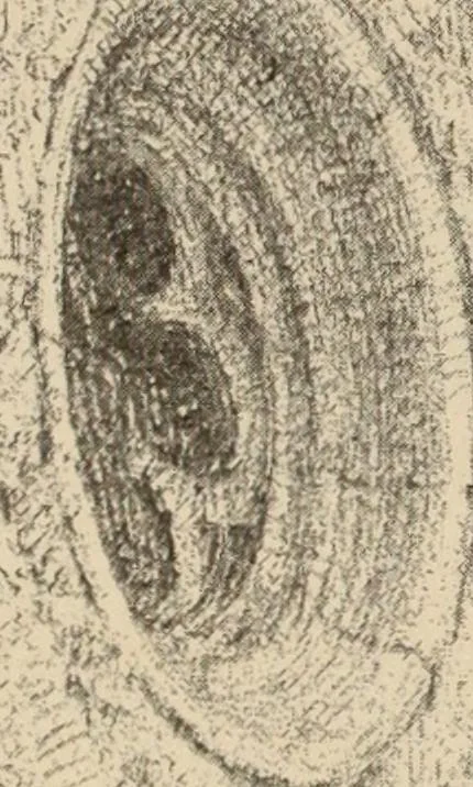 An illustration from Freehand perspective and sketching; principles and methods of expression in the pictorial representation of common objects, interiors, buildings and landscapes, 1910, leaf 117
