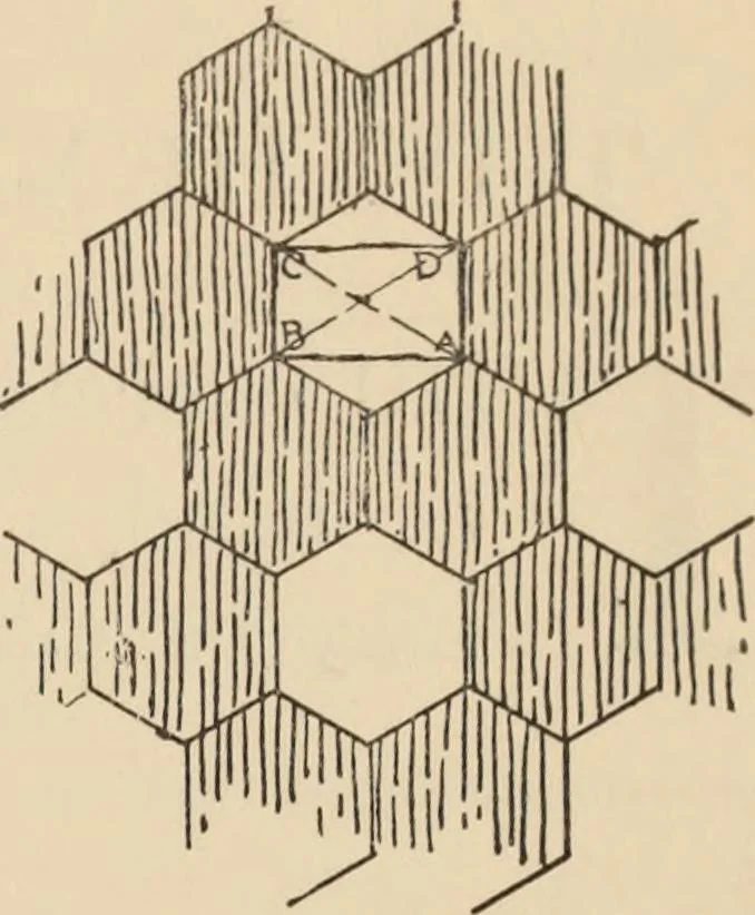 An illustration from Freehand perspective and sketching; principles and methods of expression in the pictorial representation of common objects, interiors, buildings and landscapes, 1910, leaf 144